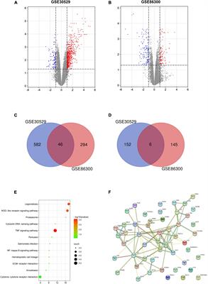 The CXCL1-CXCR2 Axis Mediates Tubular Injury in Diabetic Nephropathy Through the Regulation of the Inflammatory Response